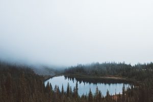 Mountain fog in Pacific Northwest